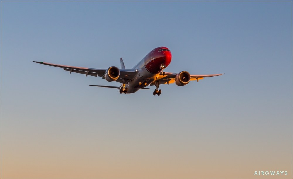 dpeacock_20131117_1601_0624