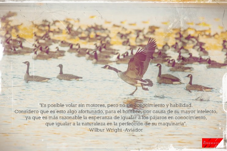 tumblr_o15r15UscZ1rorqemo1_1280