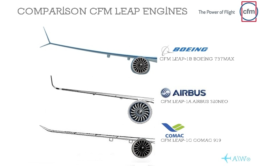 c919-wingspan-copia