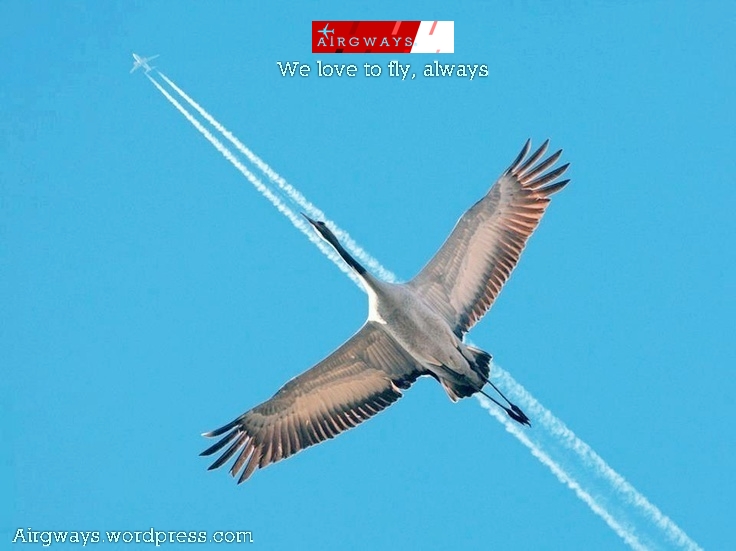 AIRGWAYS ADV-007 .jpeg