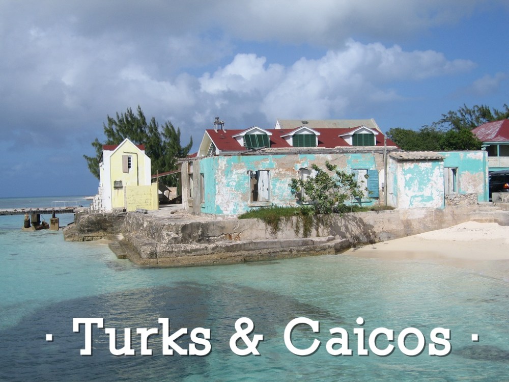 1865333639_d1e066abcf_b (1)