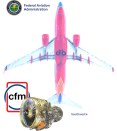 Resultado de imagen para Inspections  CFM56-7