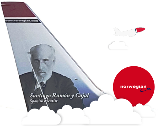 AW-737800NWAR.png