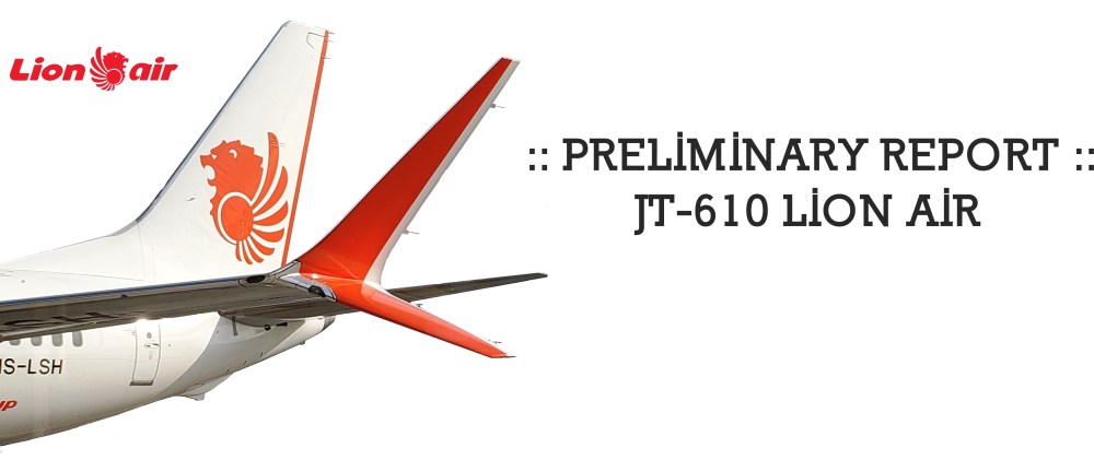 Lion-739-Winglet -002.jpg