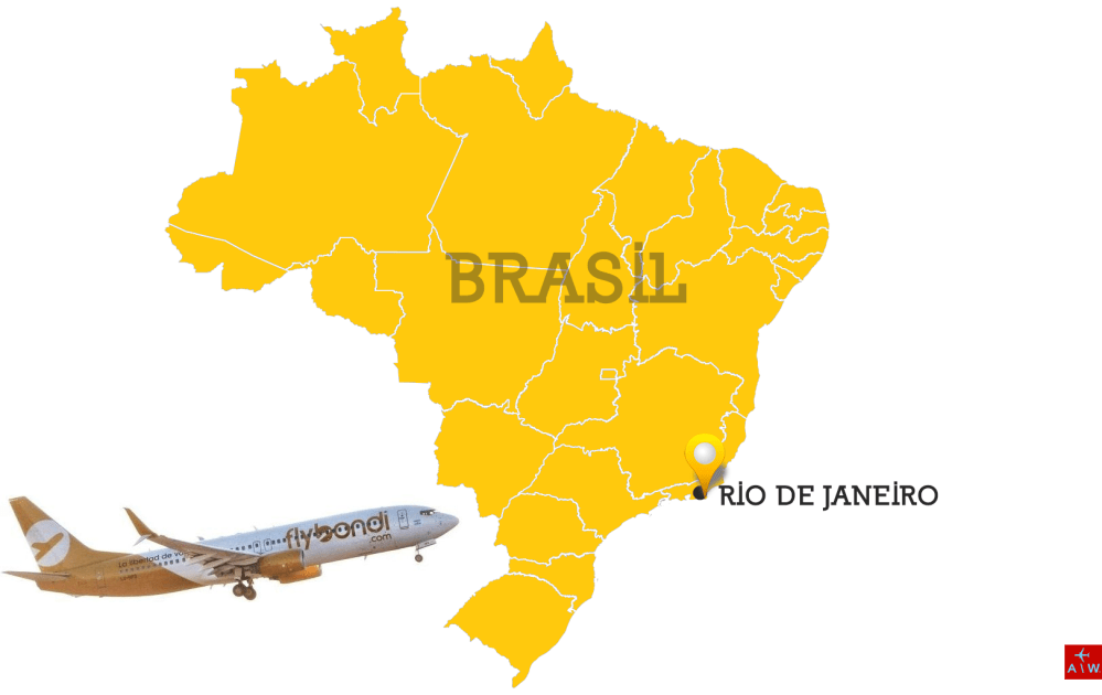 Brazil_Blank_Map_light.svg.png