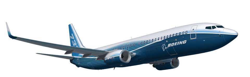 Resultado de imagen para boeing 737 next generation Gherkin Fork