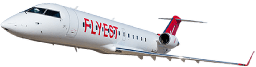 AW-Flyest_7004466.png