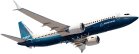 737MAX8-960x298.png