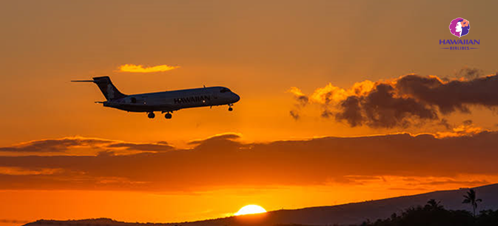 AW-7000555.png