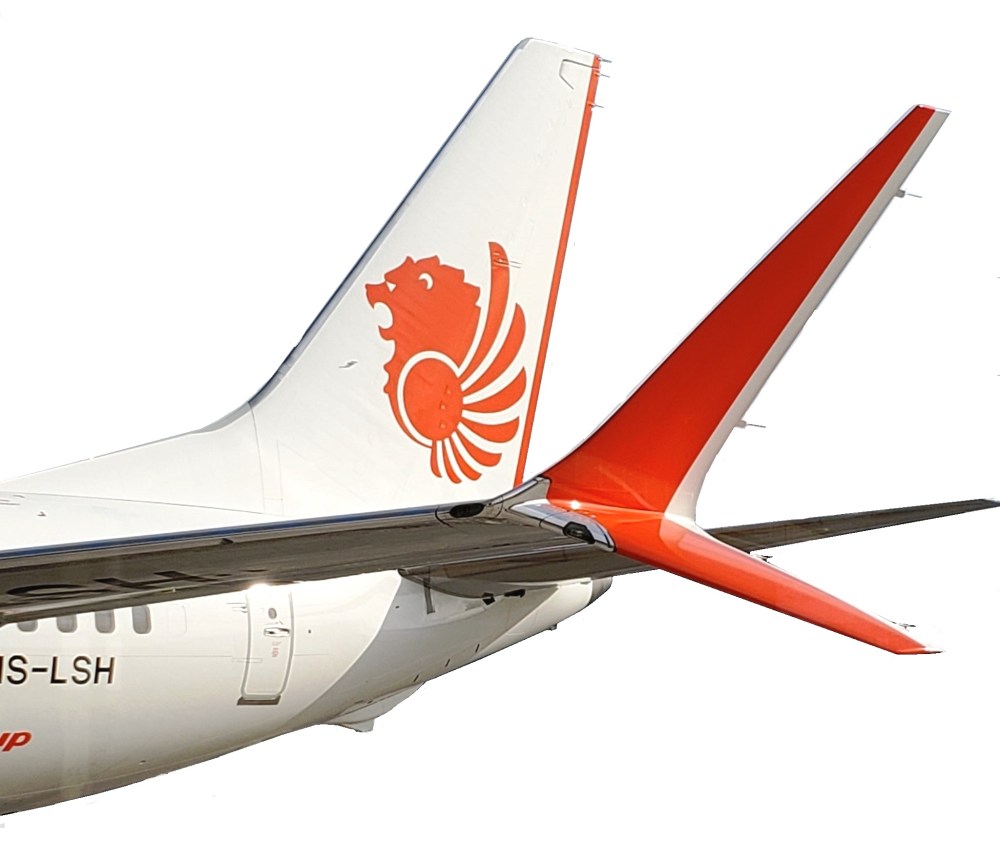 Lion-739-Winglet -002.jpg