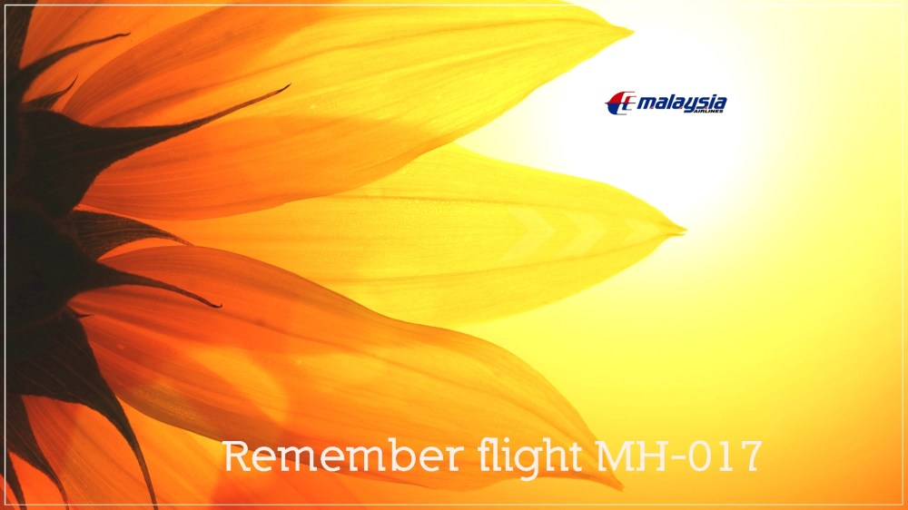 6947946-sunflower-background (2)