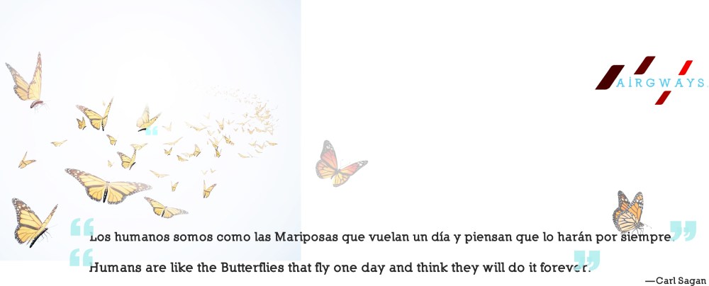 AW-Butterfly.jpg