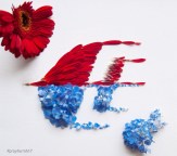 tumblr_n900nbMjeP1rlhpiuo1_1280 - copia