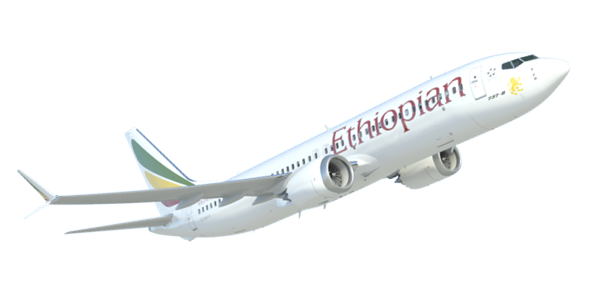 AW-700Boeing8MAX_ET-302_001