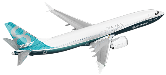 737max-8-hotspot-bg_mobile