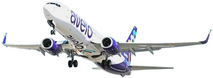 Avelo Airlines_000007