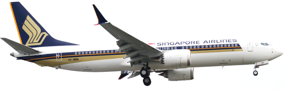 AW-Singapore Airlines_Boeing 7378001